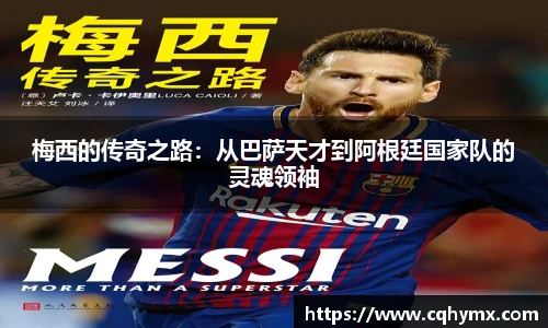 xc体育登录